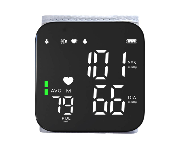 Blood Pressure Monitor BP-CW02