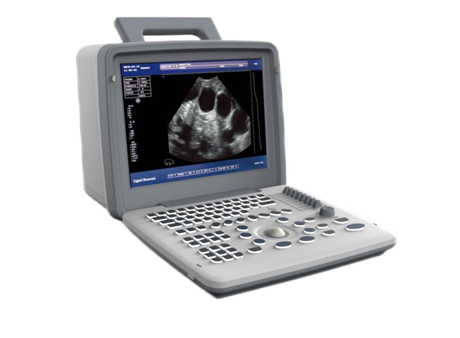 Ultrasound Scanner US-B300